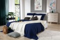 6 DARK BLUE_E31923.jpg